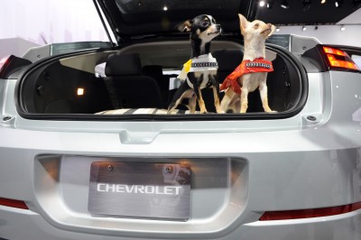 Pet Day at the 2012 New York International Auto Show