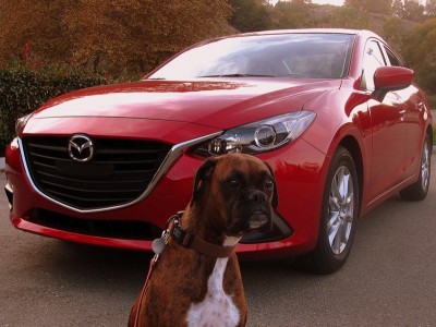 2014 Mazda3 with Roxy Hamel